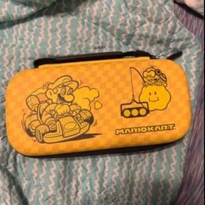 Nintendo case